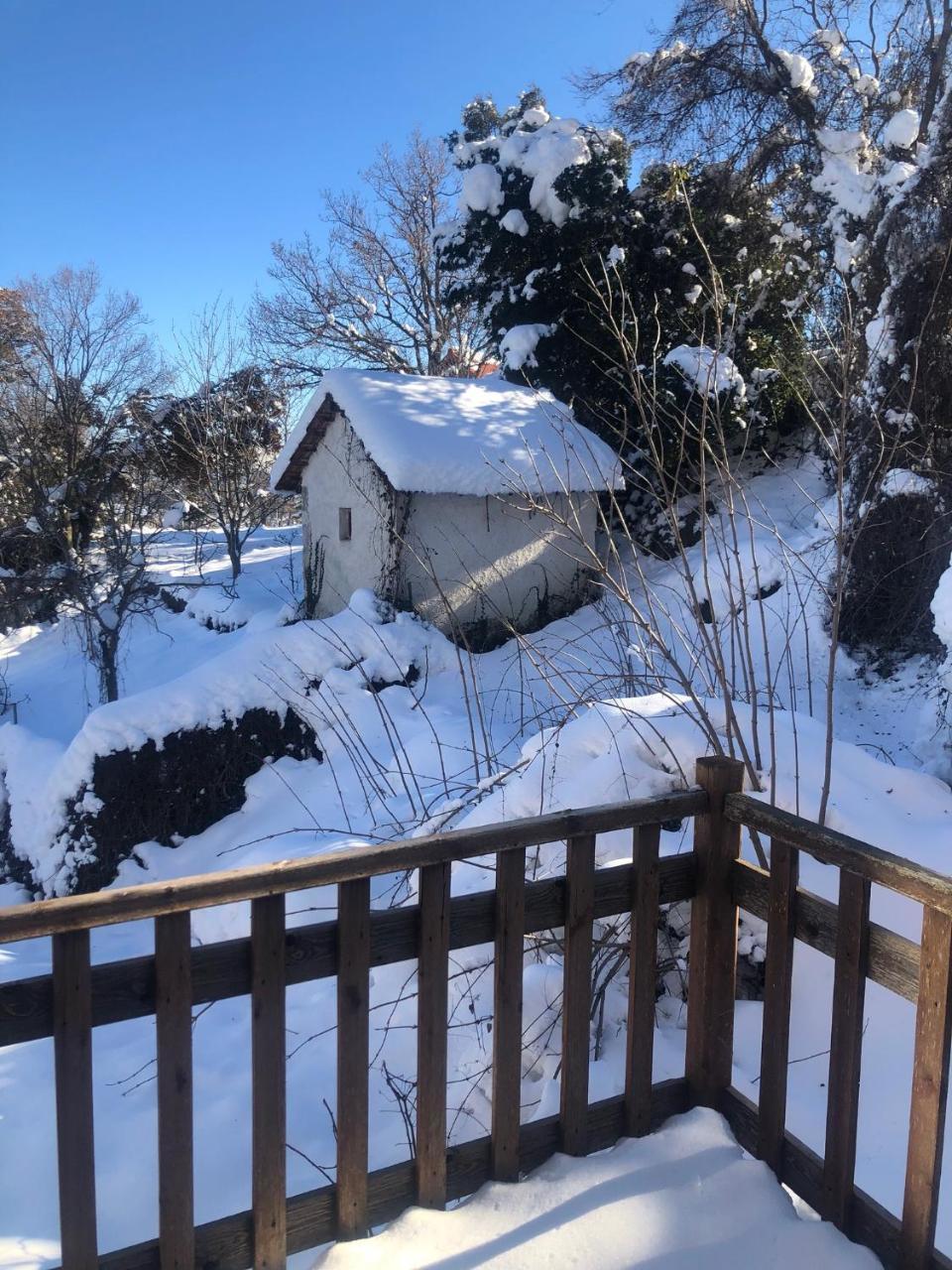 Guest house Helydorea Zen Bed& Breakfast